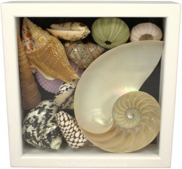 1 3/4 Deep White Square Shadow Box Picture Frame