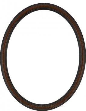 Laini Vintage Walnut Oval Picture Frame with Gold Lip