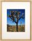 Set of 7 Natural Matted Gallery Picture Frames