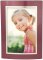 Merlot and Silver Dome Metal Picture Frame